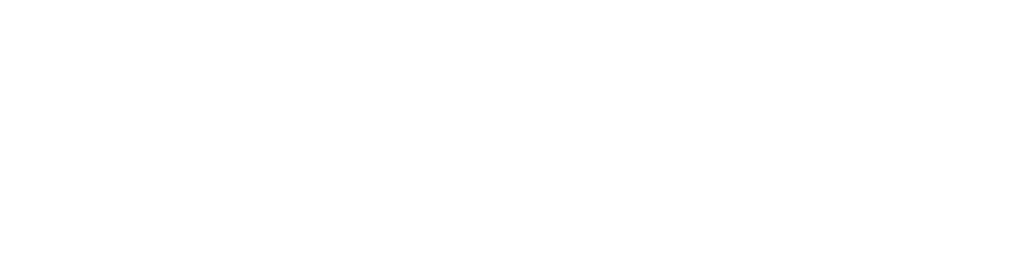 Waslync Logo
